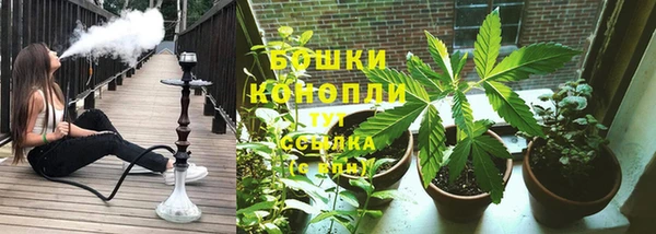 прущая мука Вяземский