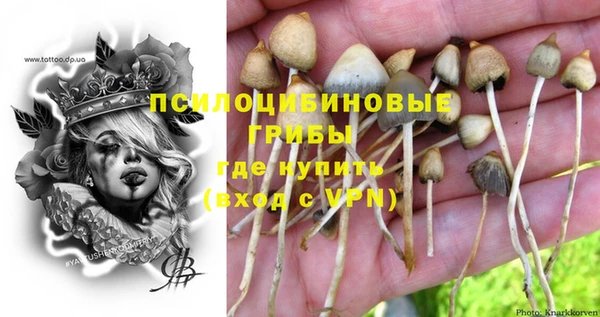 ECSTASY Вязьма