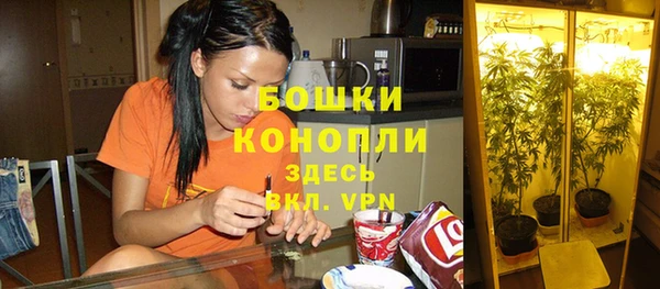 ECSTASY Вязьма