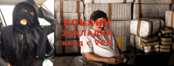 прущая мука Вяземский