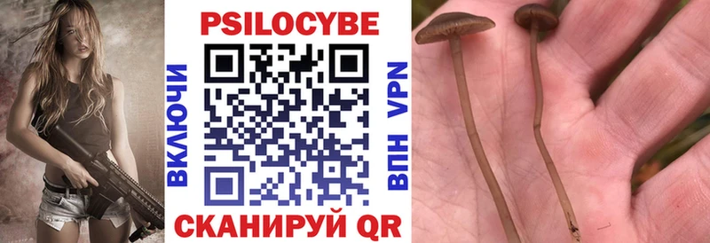 Купить закладки  Моздок  Галлюциногенные грибы ЛСД 